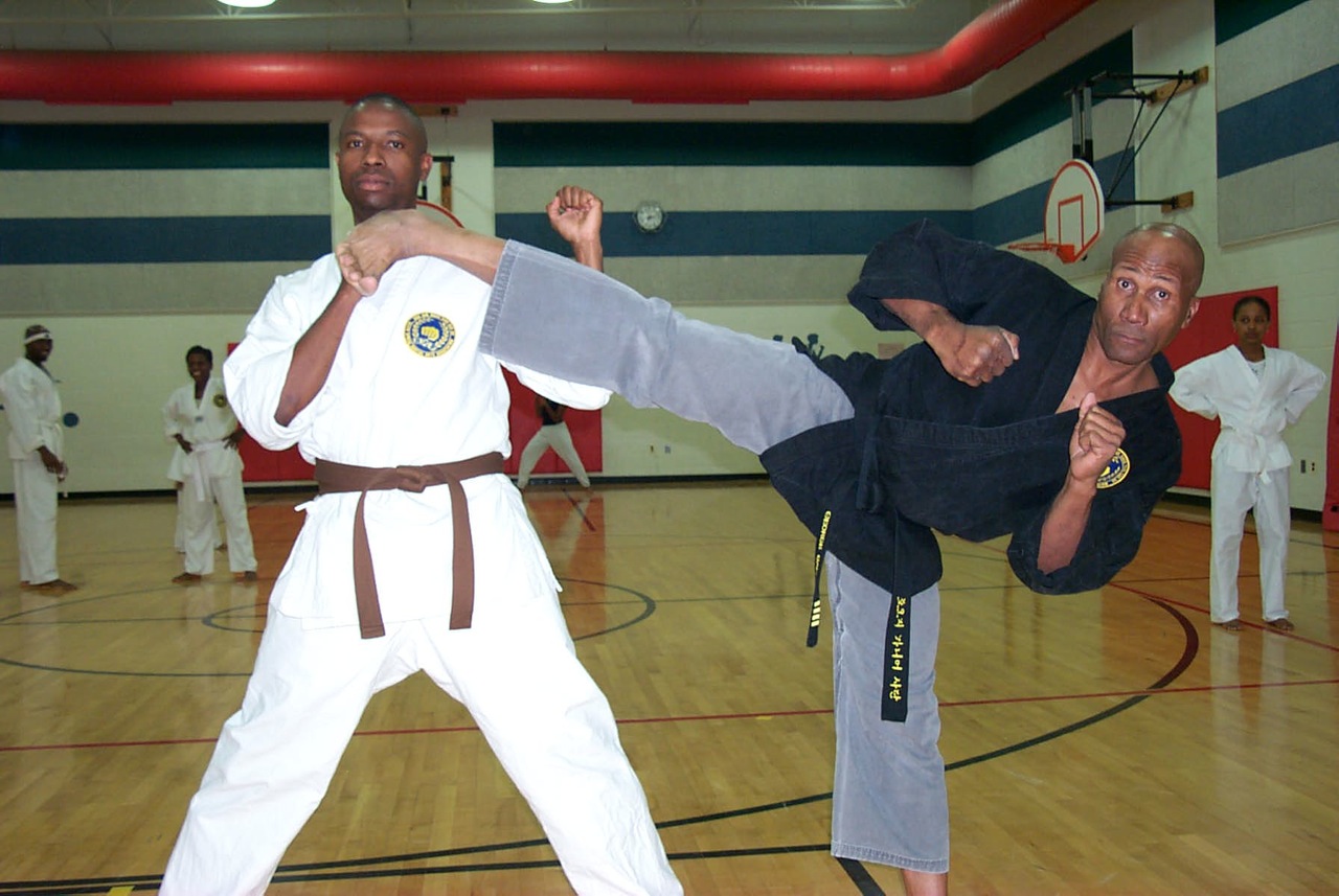 Silver Spring Martial Arts Ki Whang Kim Traditional Martial Arts