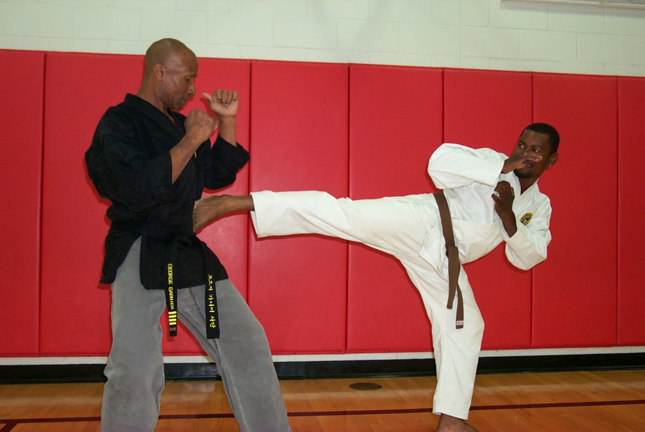 Silver Spring Martial Arts Ki Whang Kim Traditional Martial Arts
